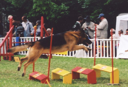 wp073da499.jpg