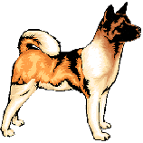wp72664b3f.gif