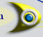 wpb3a6e8d3.png