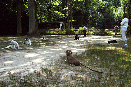 wpc0f5992e.jpg