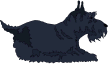 wpd44ece0d.gif