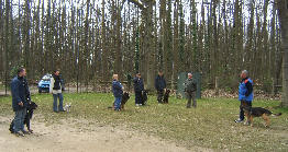 wpdc046967.jpg