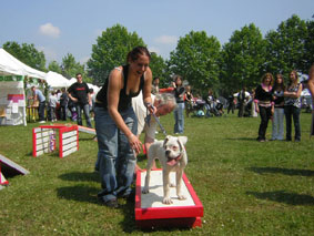 wpe15607ac.jpg